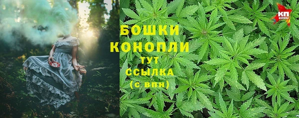 гашик Корсаков