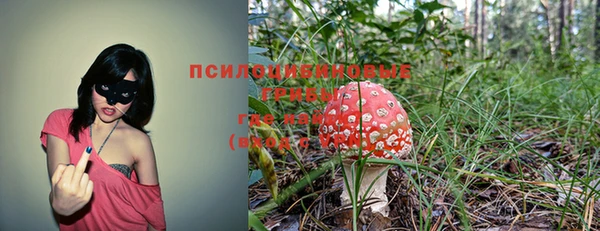 мдпв Коряжма