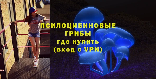 гашик Корсаков