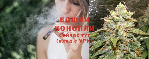 гашик Корсаков