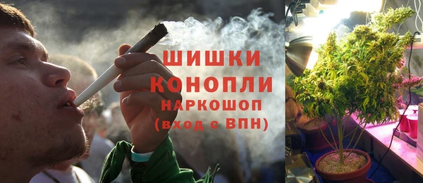 гашик Корсаков