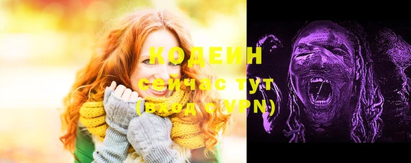 гашик Корсаков
