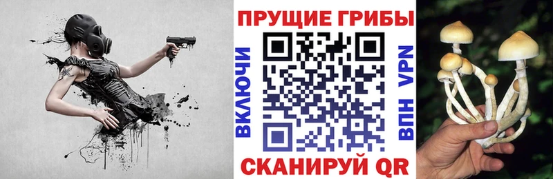 Псилоцибиновые грибы мицелий  Купить  Бузулук 